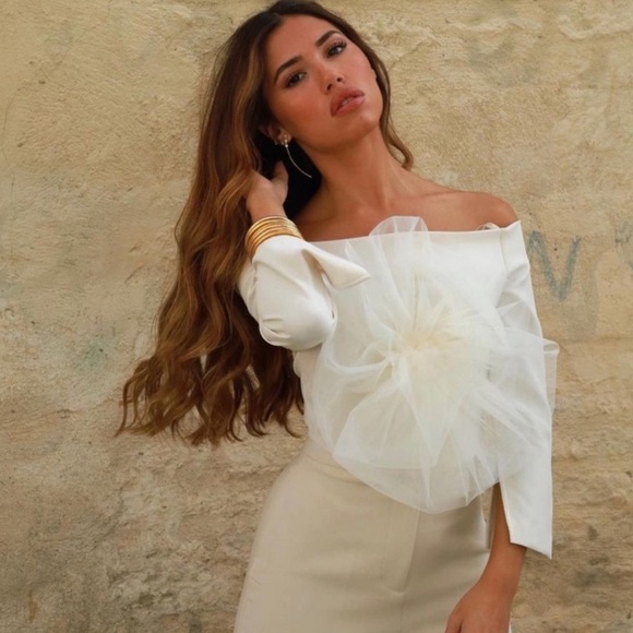 Zara Cropped Floral Tulle Cream Top NWT - Picture 5 of 12